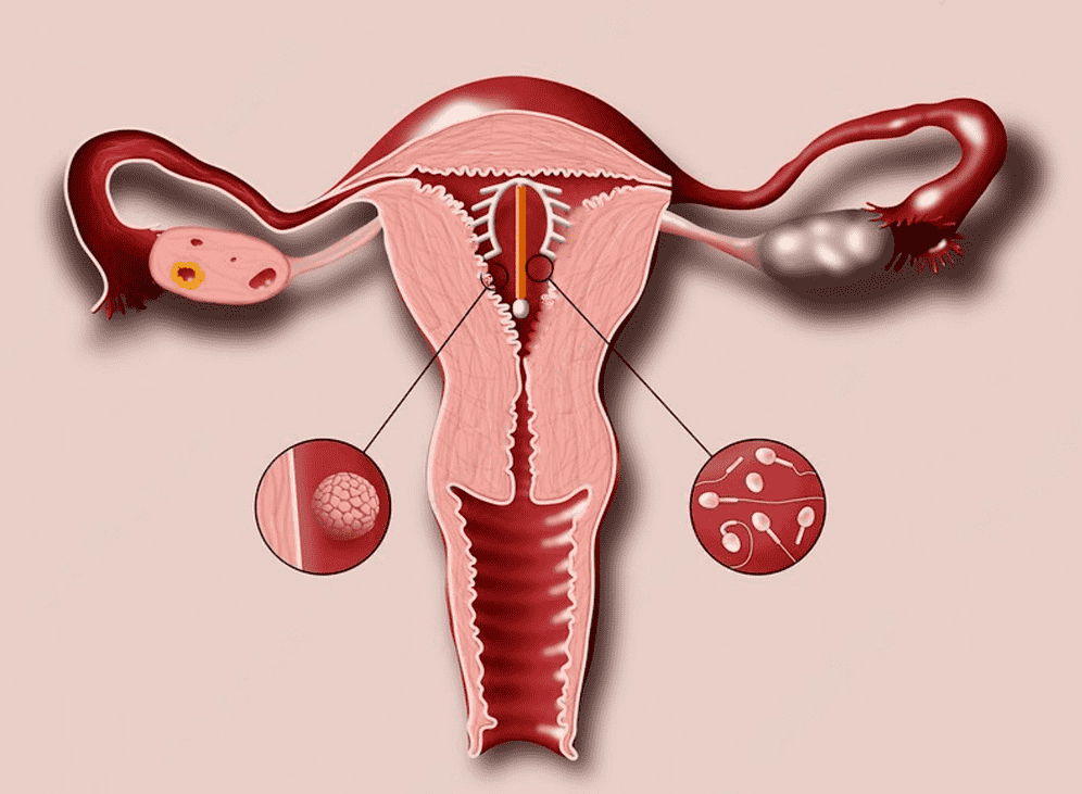 Ginecología y obstetricia en Las Rozas